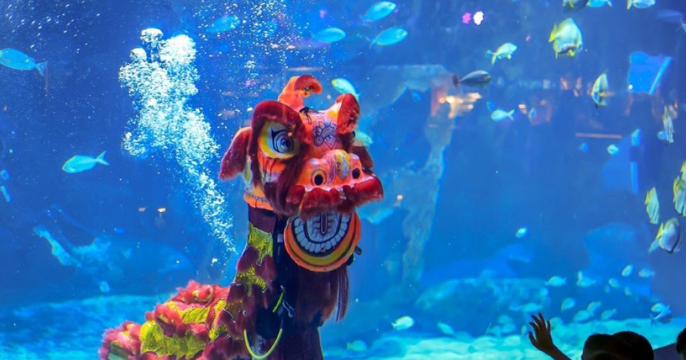 Central Phuket Floresta - Aquaria Phuket Presents a Spectacular Show