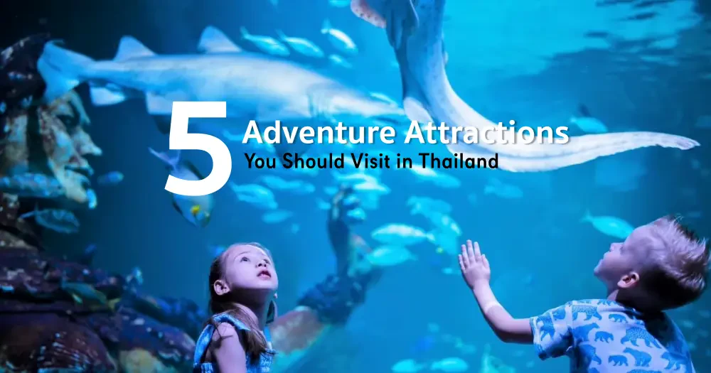 5 Adventure Attractions You Should Visit in Thailand